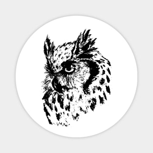 Owl Magnet